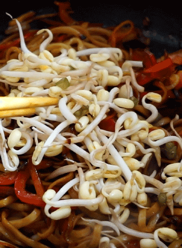 ajout de pousses de soja dans le plat de chow mein